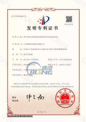 用于黑臭水体修复的多级净化浮岛系统及方法